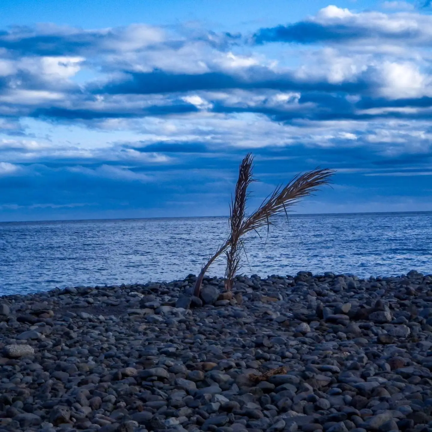 Banner image 2/2
