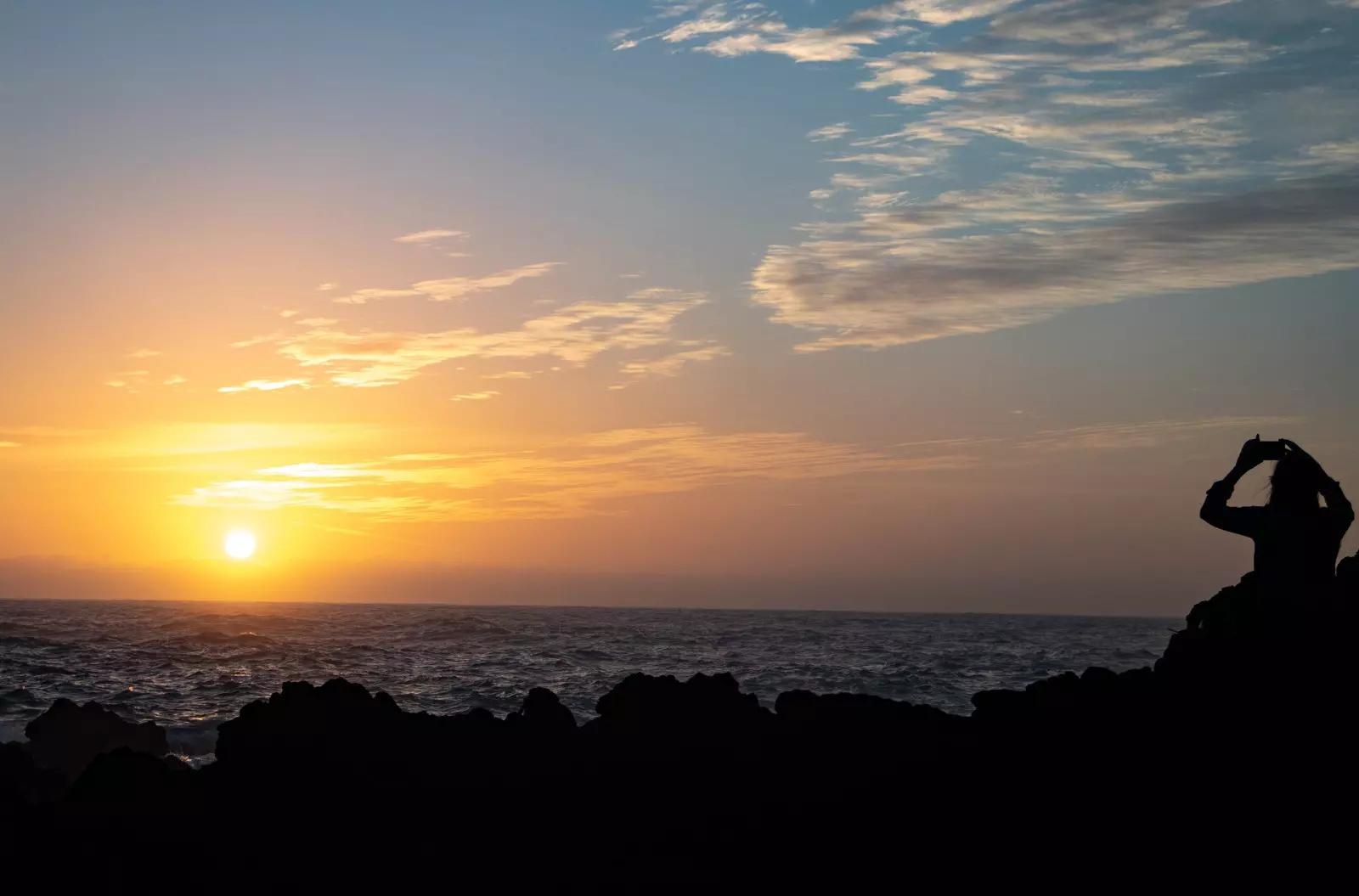 Banner image 4/4
