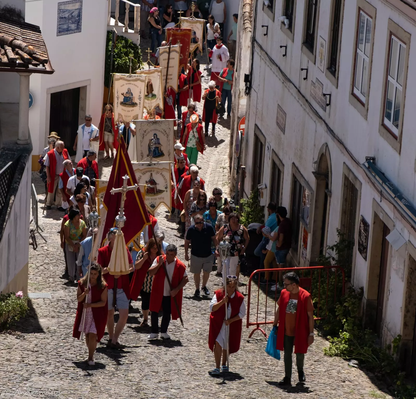 Banner image 5/5