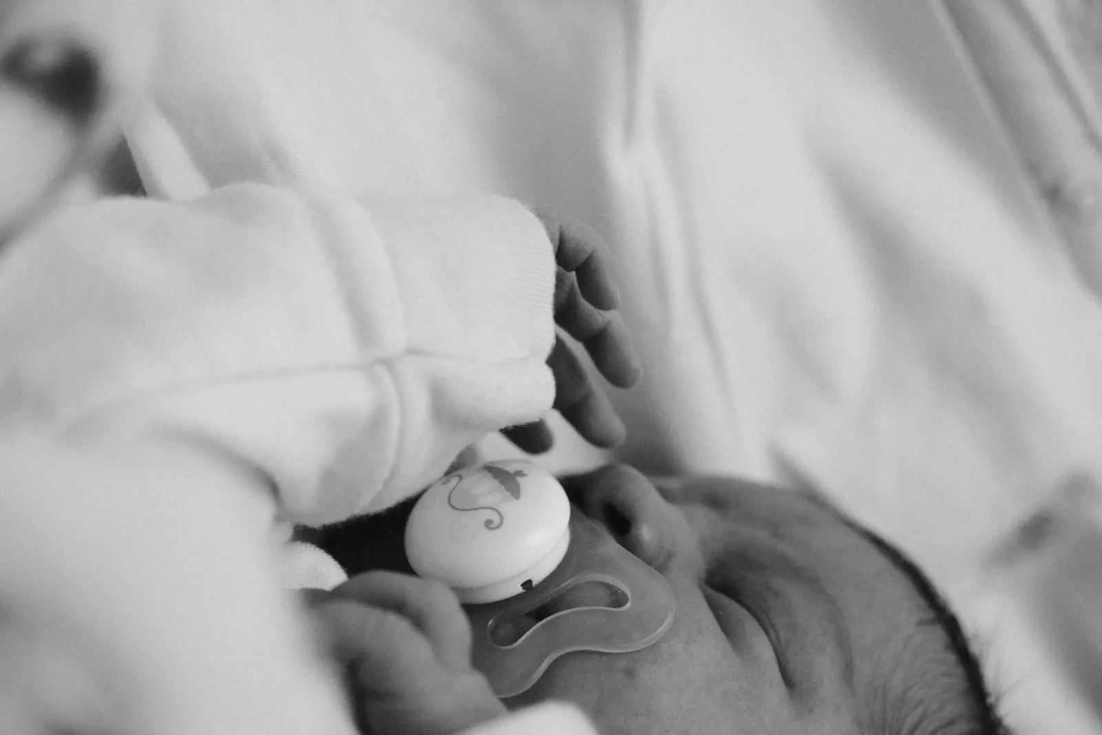 Banner image 6/6