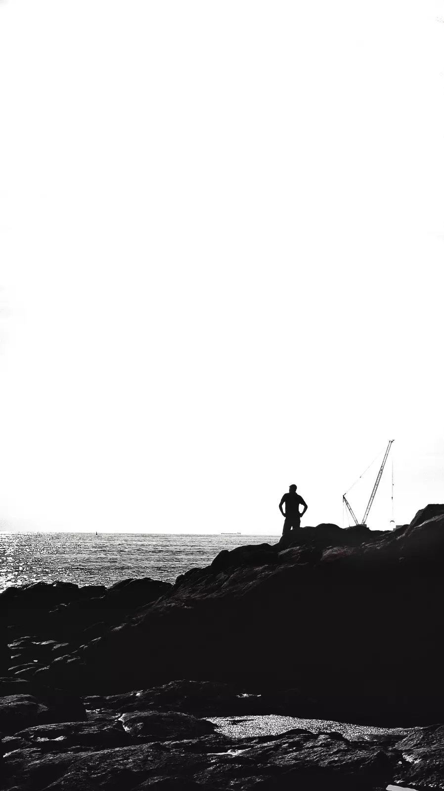 Banner image 2/2