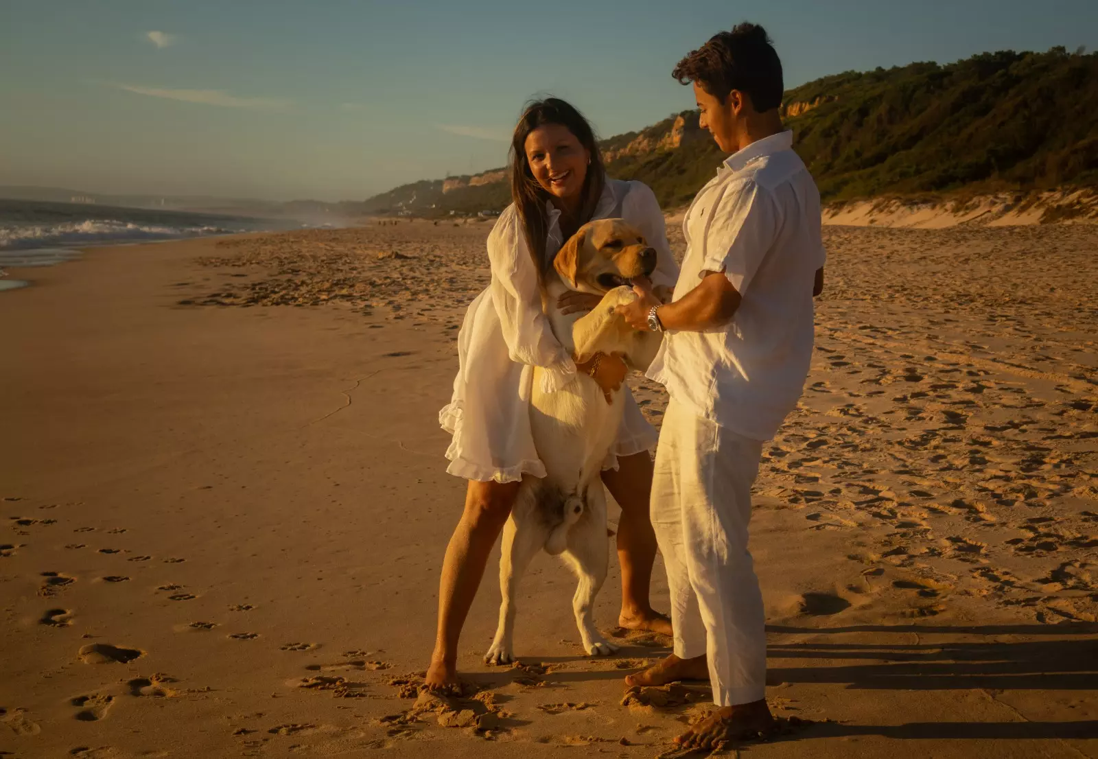 Banner image 6/6