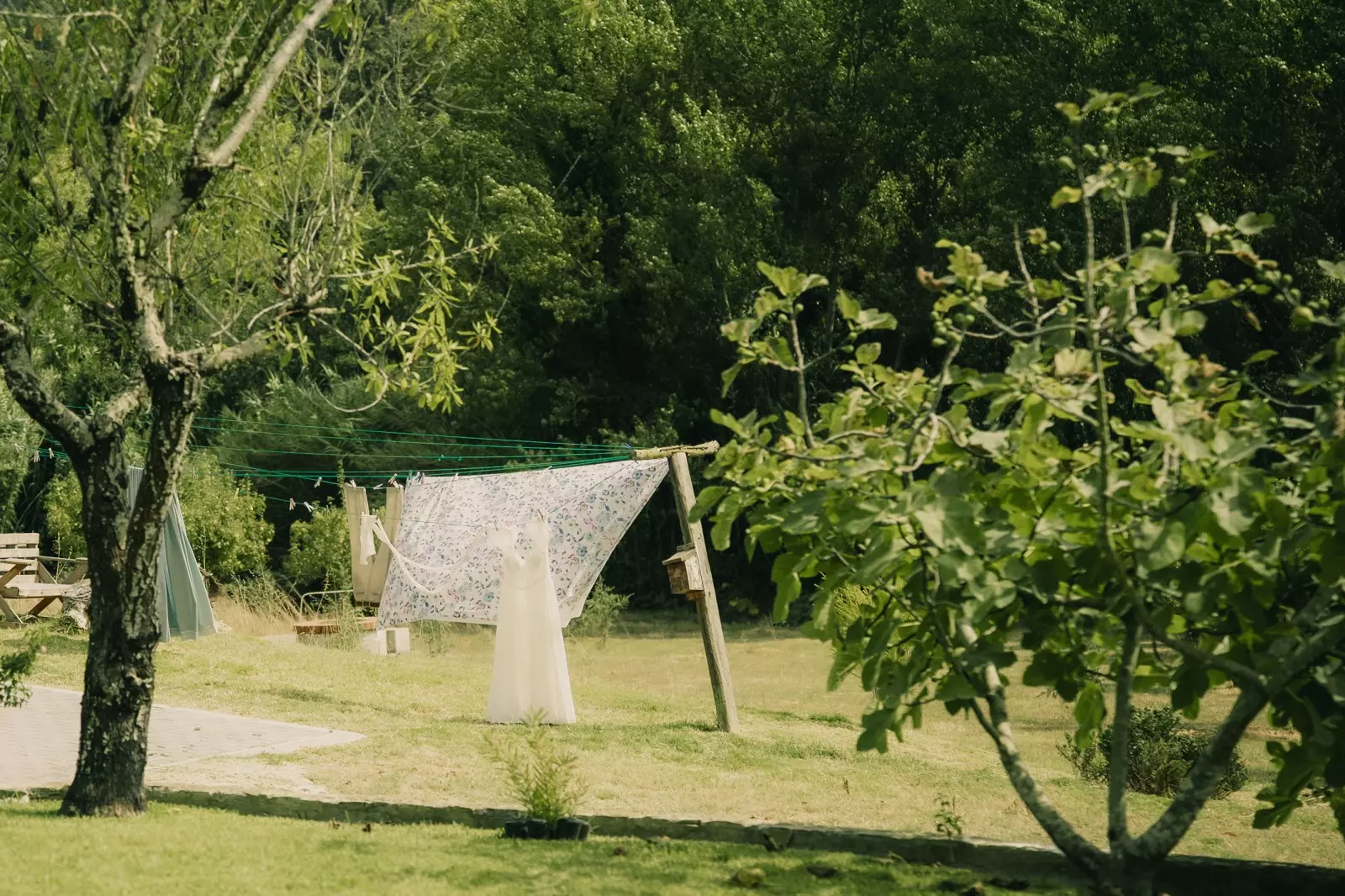Banner image 7/7