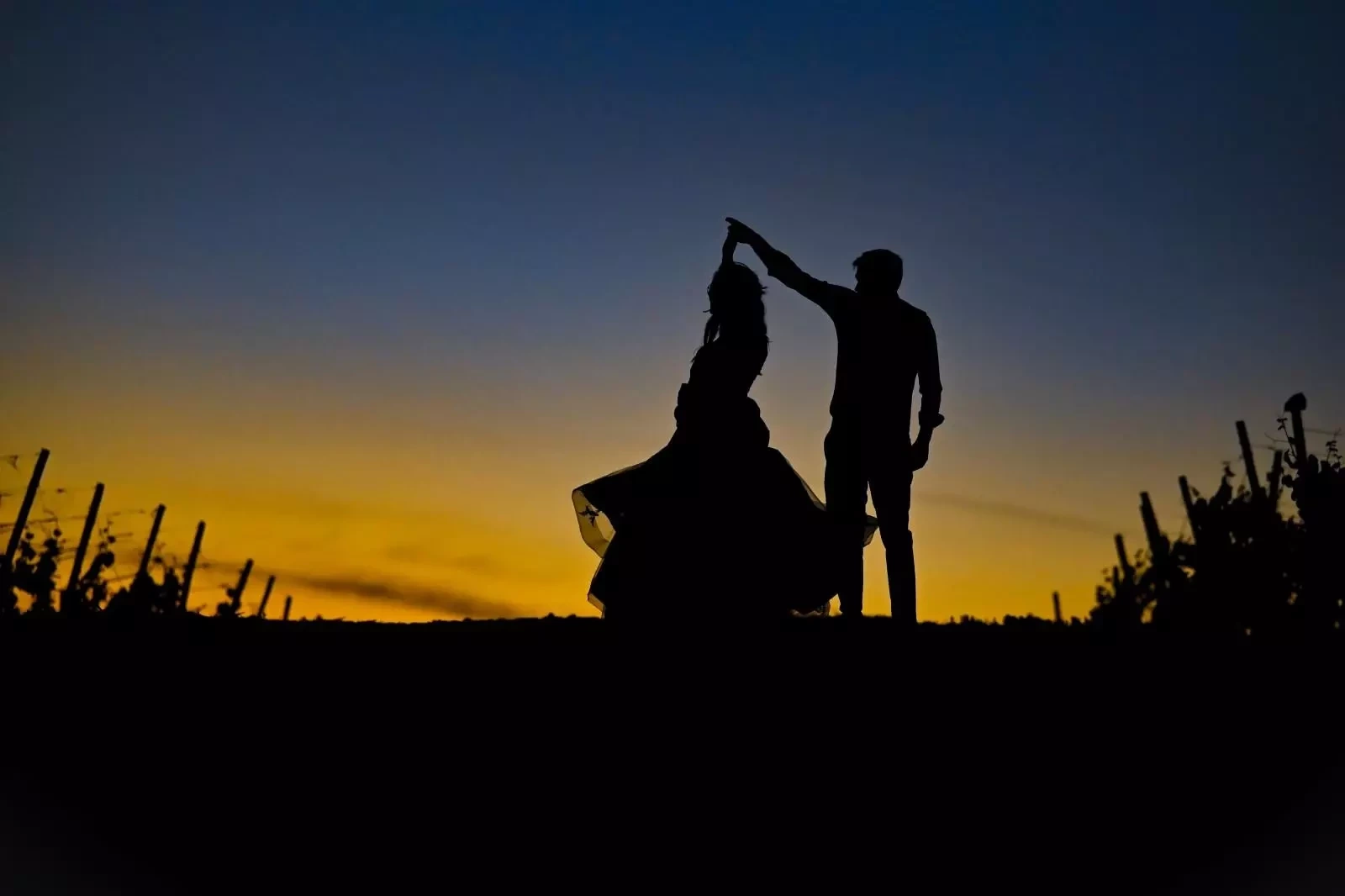 Banner image 3/3