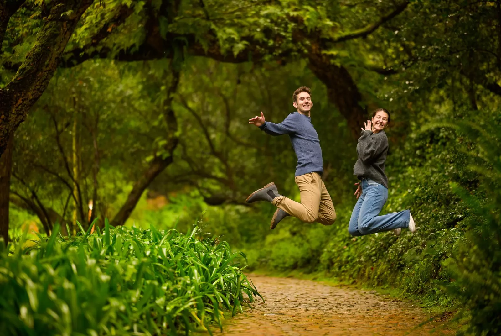Banner image 6/6