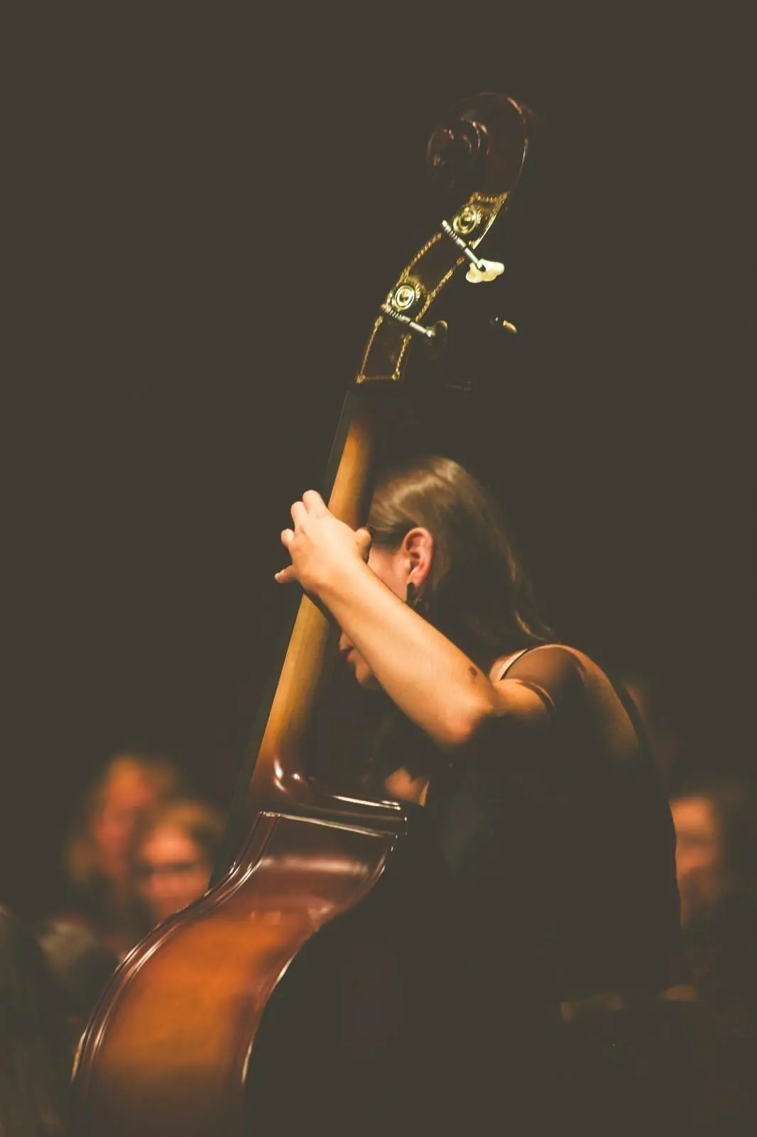 Banner image 1/1