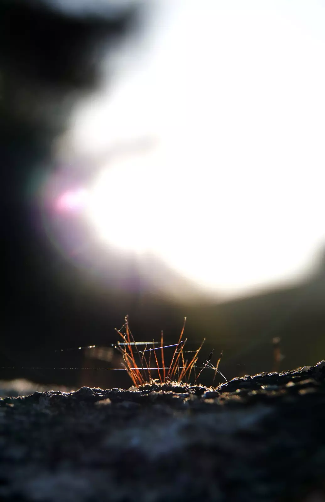 Banner image 7/7