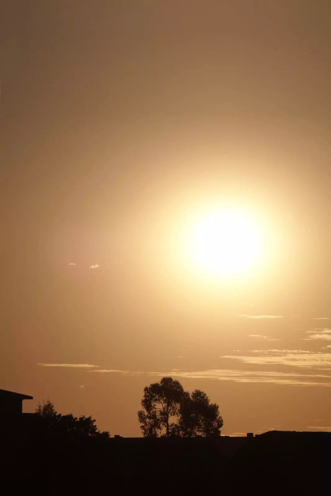 Banner image 3/3