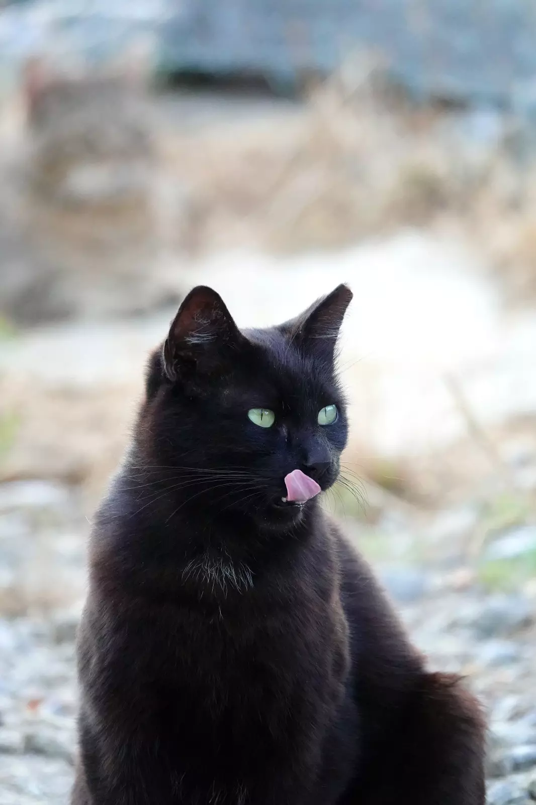Banner image 0/0