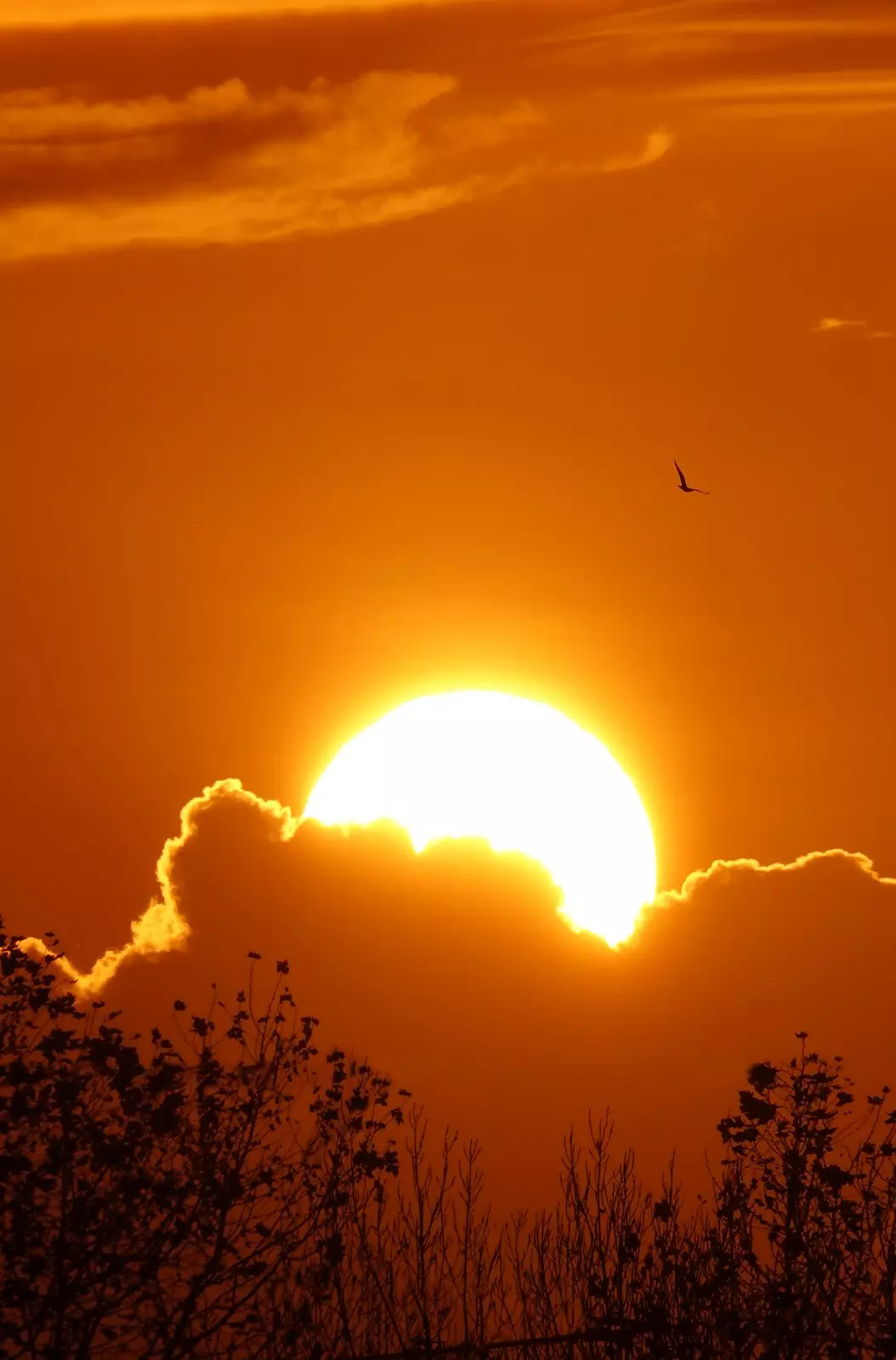 Banner image 8/8