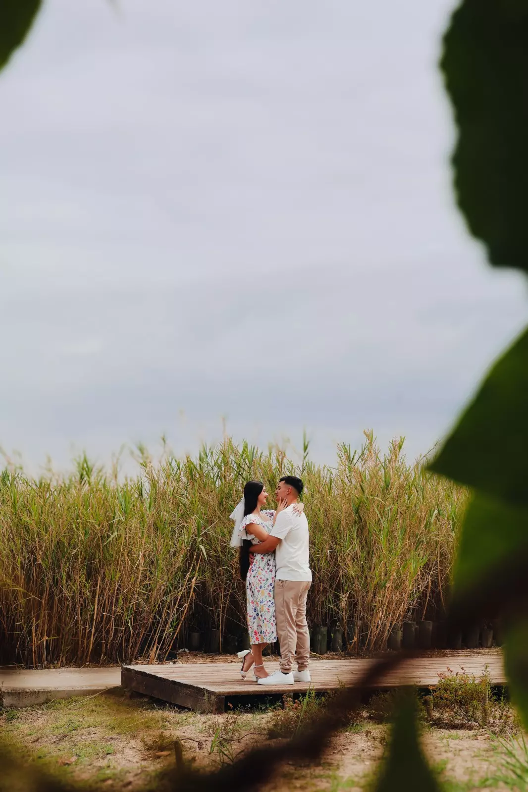 Banner image 7/7