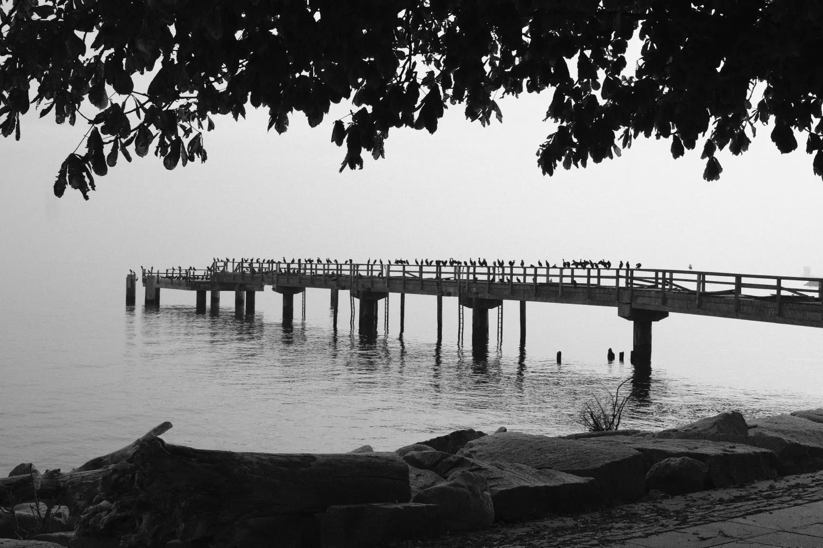 Banner image 4/4