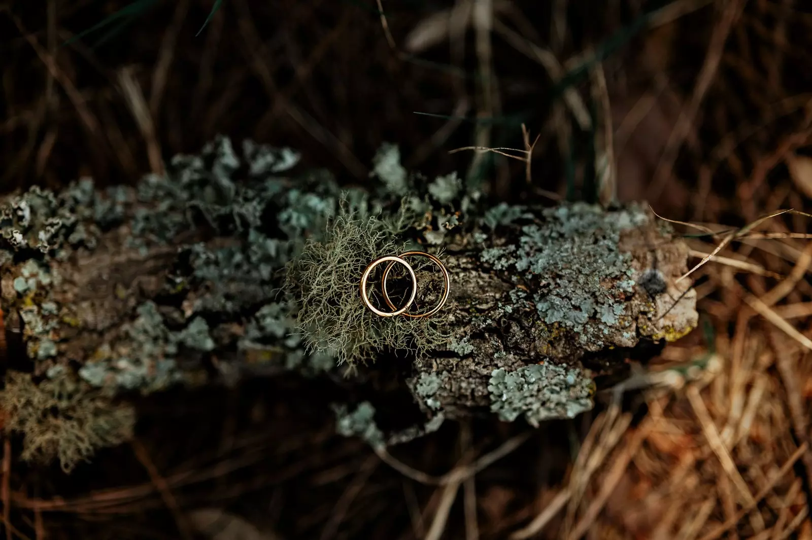 Banner image 1/1
