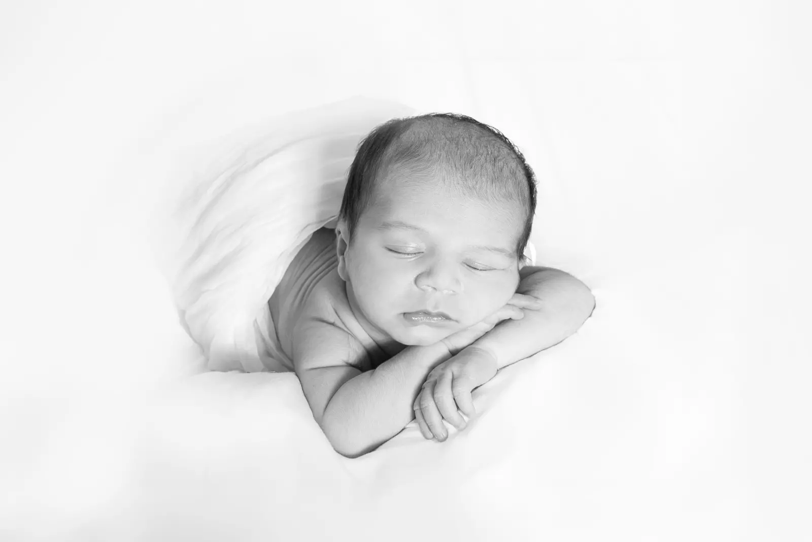 Banner image 6/6