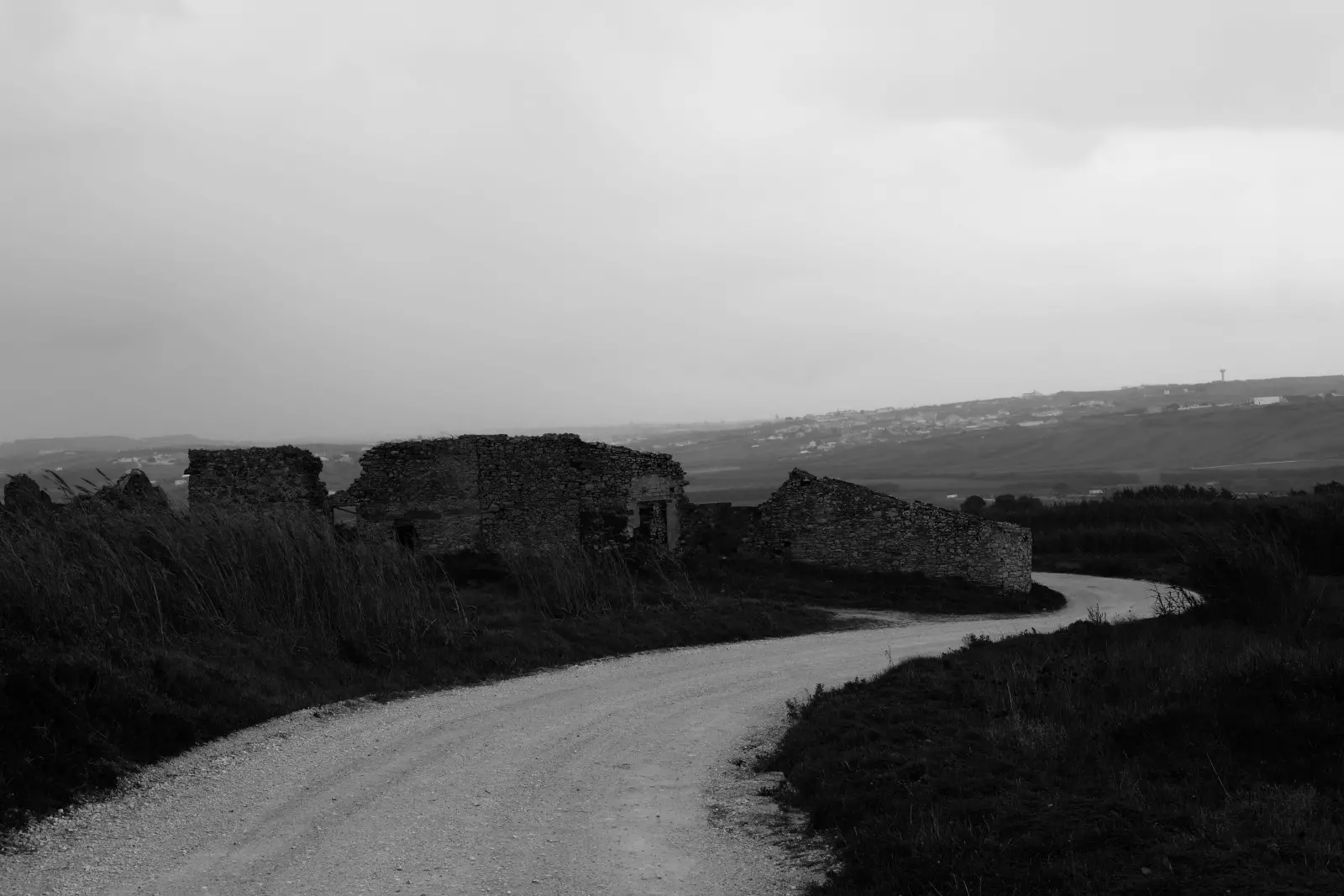 Banner image 4/4
