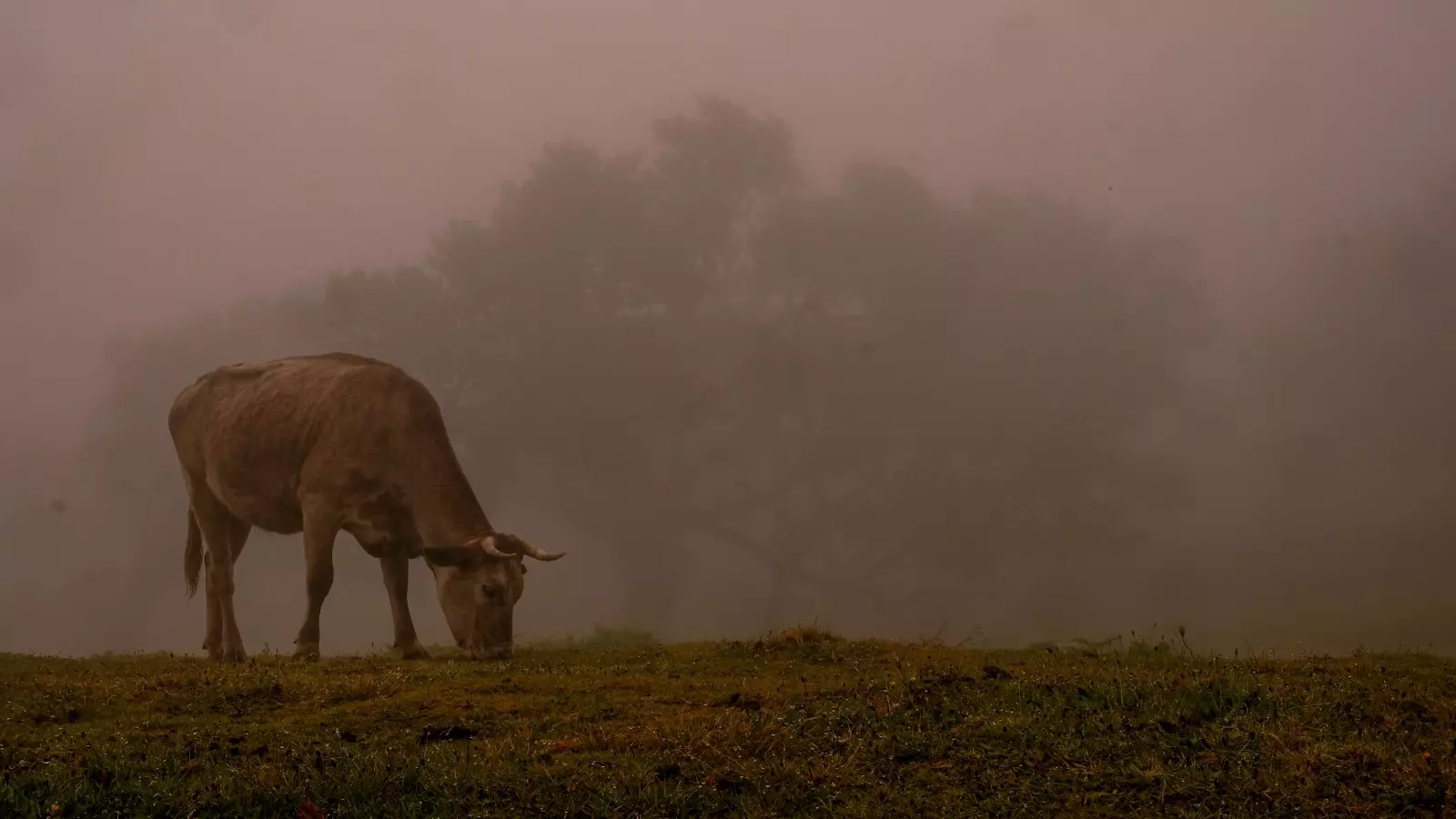 Banner image 2/2