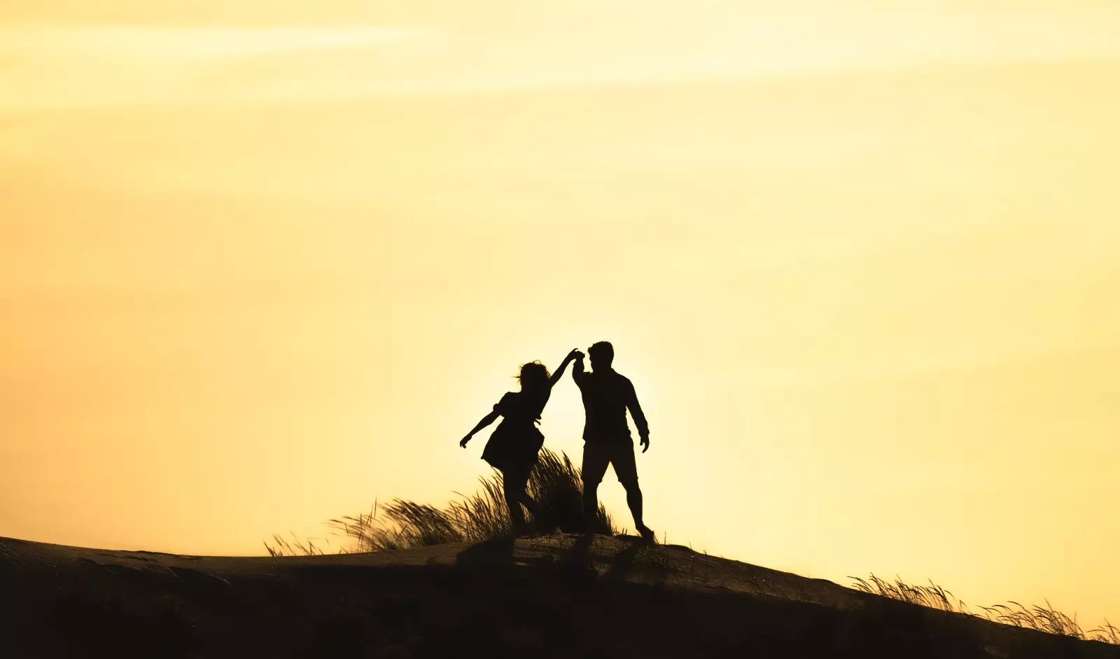 Banner image 3/3