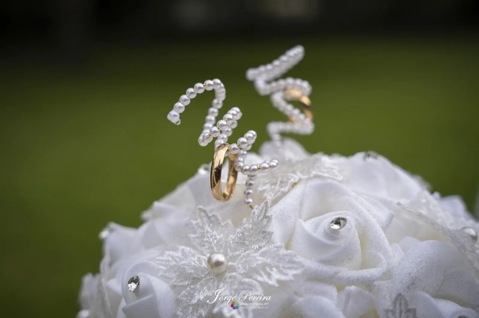 Banner image 4/4